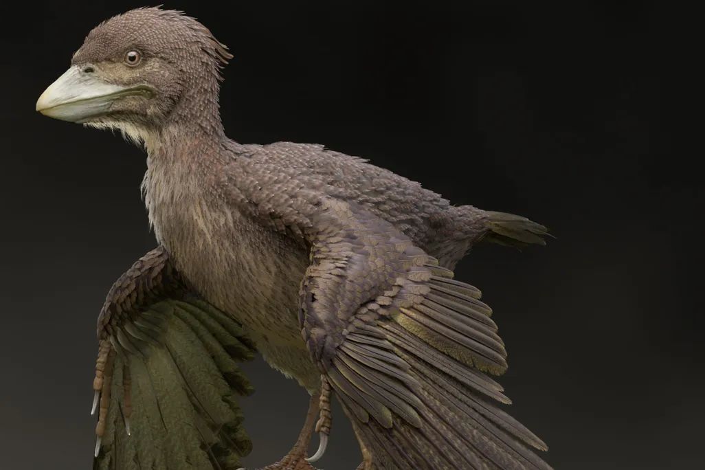 Bird Dino