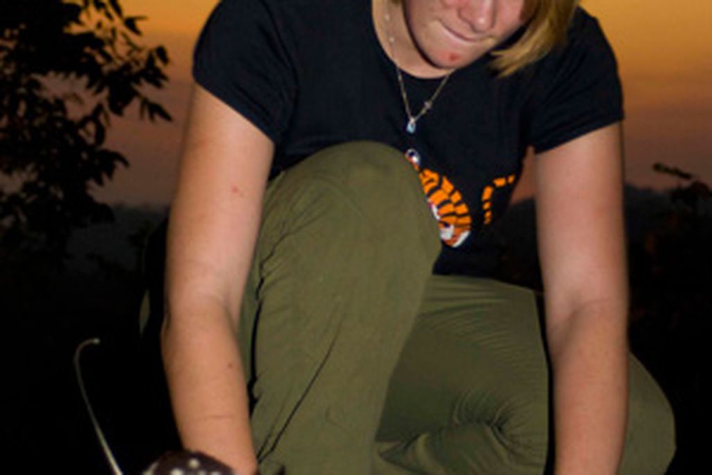 20110520102340northern_quoll.jpg