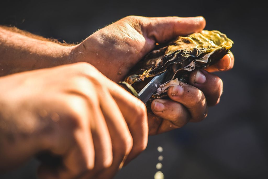 header-oyster-trail.jpg