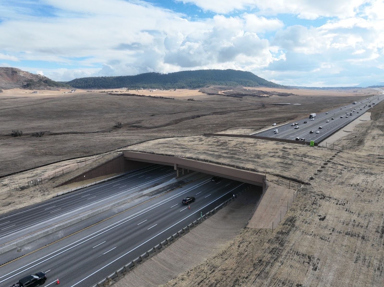 How Colorado's Wildlife Mitigation Efforts—Including the Largest Animal Crossing Overpass in North America—Are Making Everyone Safer