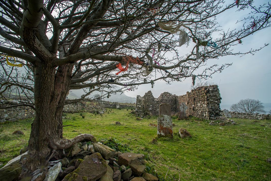 In a field with crumbling stone walls stands a tree with stripes of fabric tied to its bare branches.