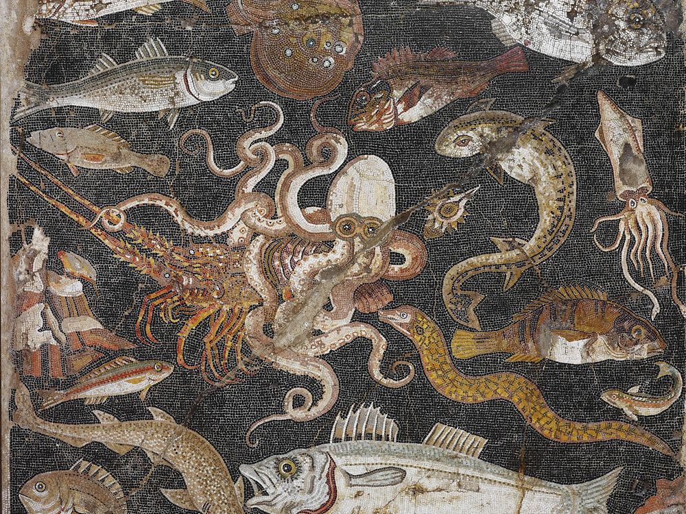 Fish (c) Museo Archeologico Nazionale di Napoli.jpg
