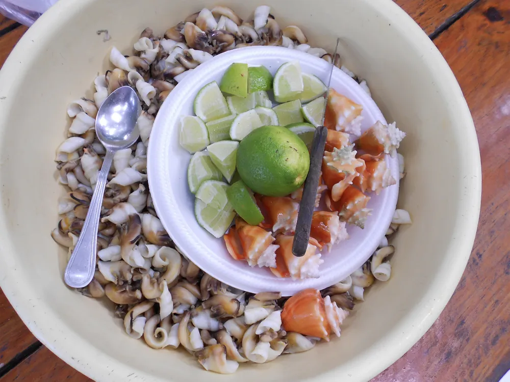 Fighting conch with lime as prepared in Bocas del Toro, Panama. (Felix Rodriguez, STRI)
