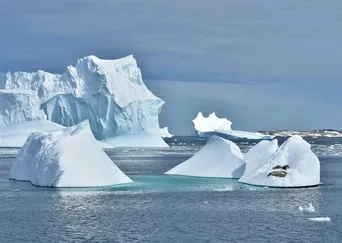 Antarctica: The White Continent description