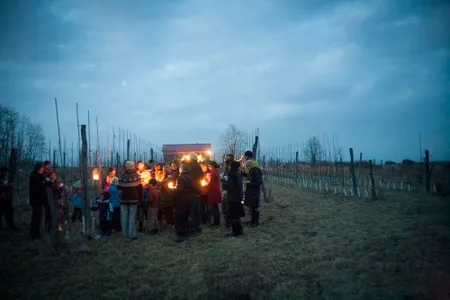 A group of revelers are seen wassailing at Redbyrd Orchard Cider in New York. 