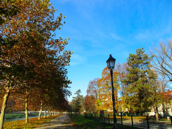 Streetlamp path thumbnail