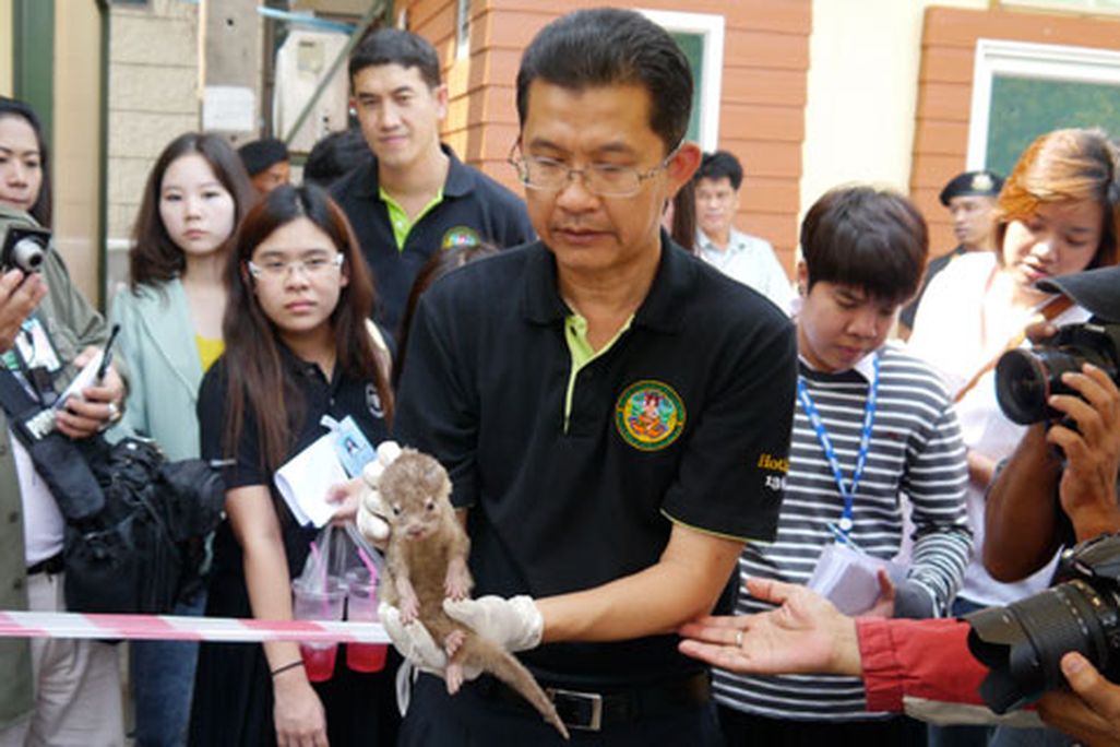 A Thai enforcement officer with one of the shocked, rescued babies.