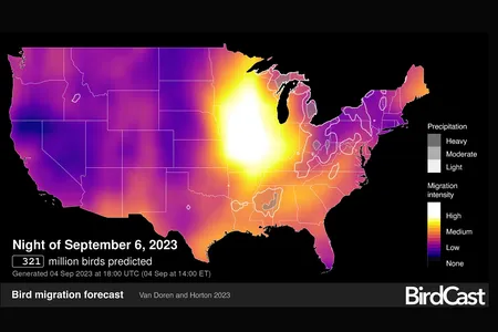 BirdCast&rsquo;s newest advances provide detailed flight forecasts of millions of birds.
