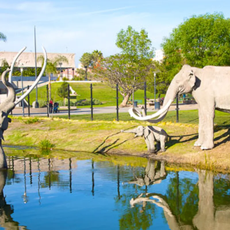 La Brea Tar Pits