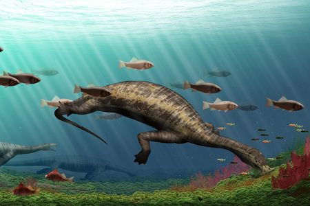 Atopodentatus used its odd-shaped head to vacuum up food from the sea floor hundreds of millions of years ago.