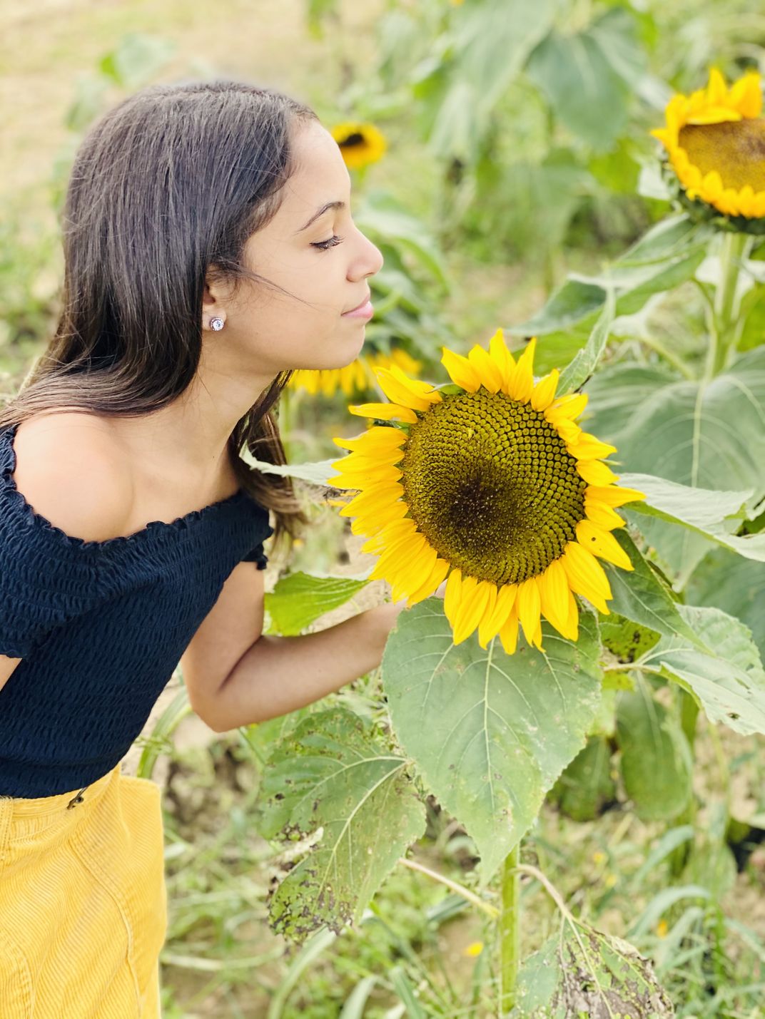 Enjoying The Beauty Of Life Through The Scent Of A Sunflower Smithsonian Photo Contest 9546