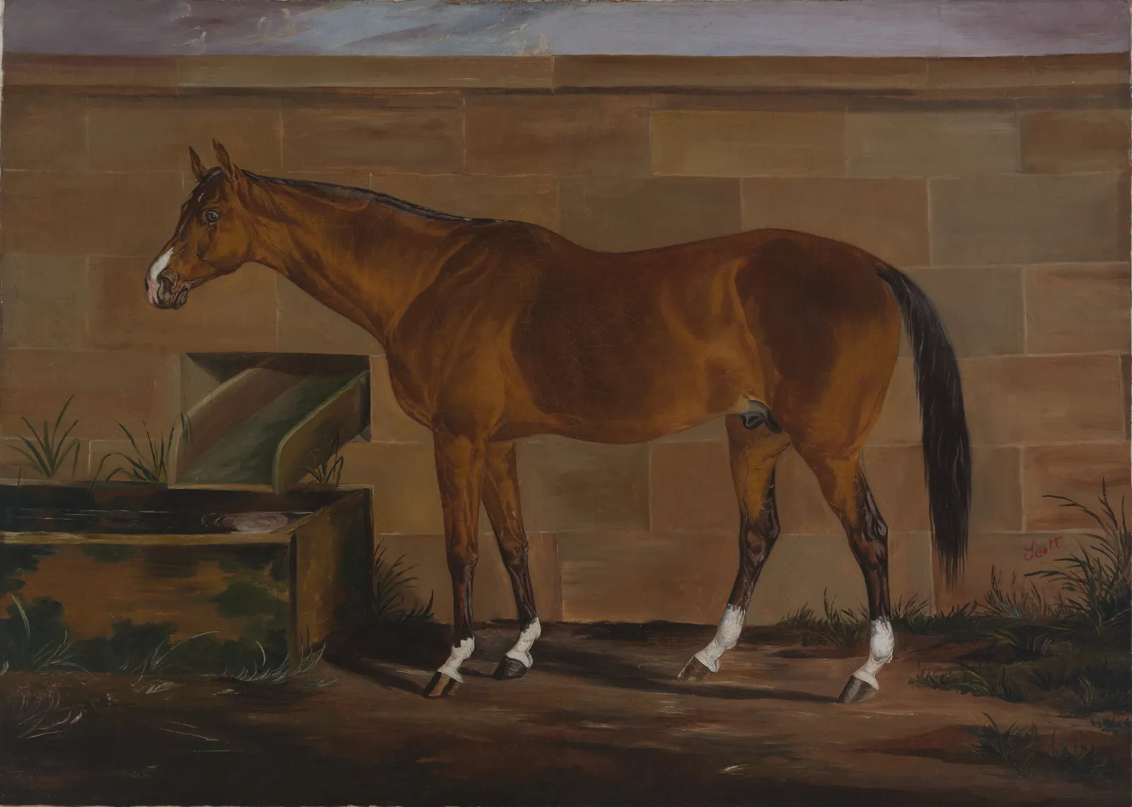 The Lost Story of Lexington, the RecordBreaking Thoroughbred, Races