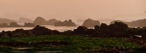 Seal Rock Oregon at sunset thumbnail
