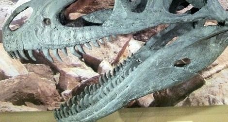 Marshosaurus