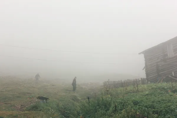 Foggy hill thumbnail