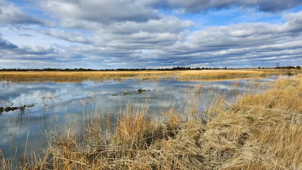 Boiling water seen in the marsh at Caumsett State Park. thumbnail
