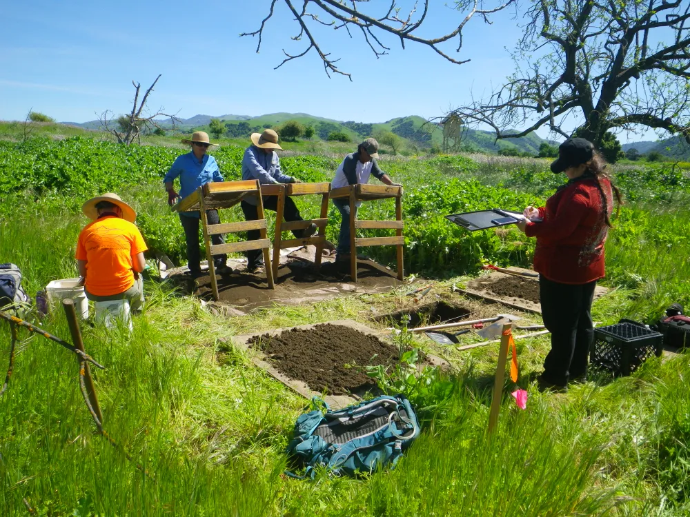 Archaeologists at Muwekma Ohlone site