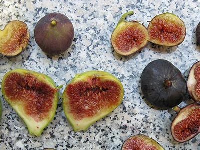 To botanists, the Caucasus Mountain region is known as a center of diversity for figs as well as mulberries, grapes, walnuts, apricots, pomegranates and almonds.