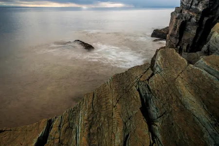 Researchers have documented more than 4,000 fossils on clifftop beds accessible to the public.