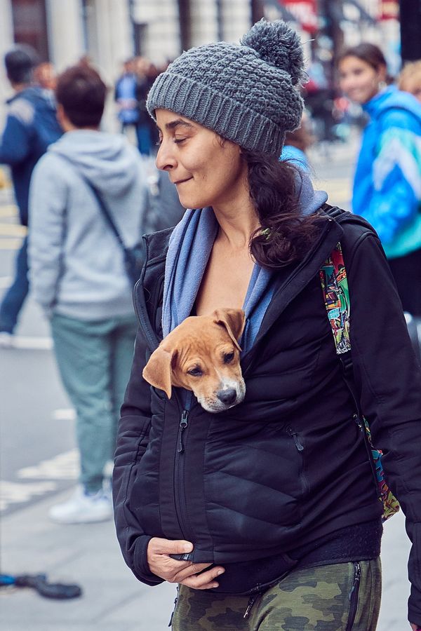 Girl carefully carries a puppy on the streets of London thumbnail
