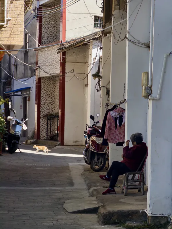 The Woman and the Cat thumbnail