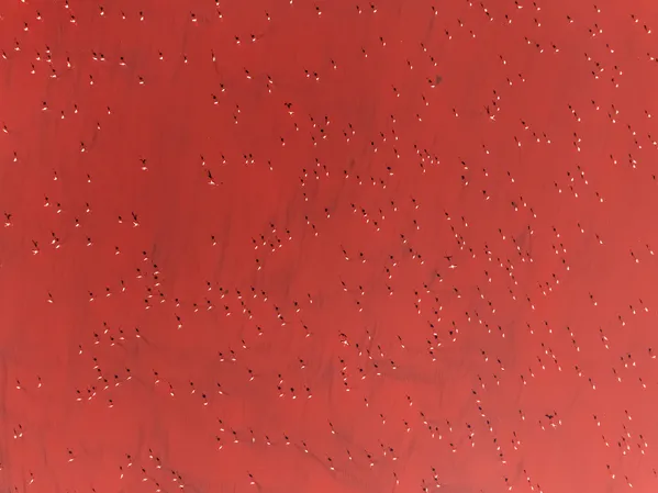 Community-life thumbnail