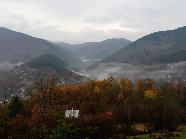 Autumn's seal thumbnail