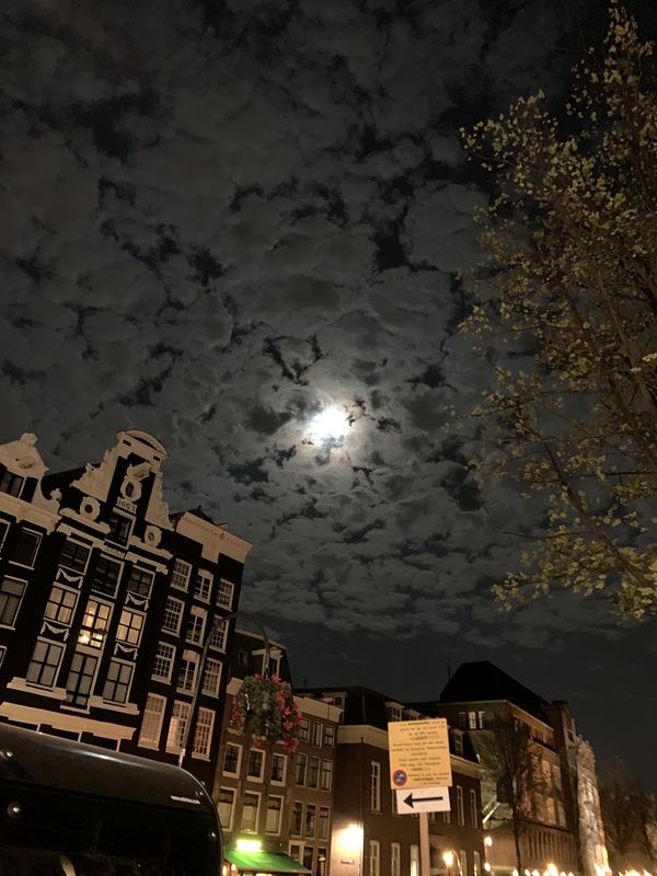 Night in Amsterdam thumbnail
