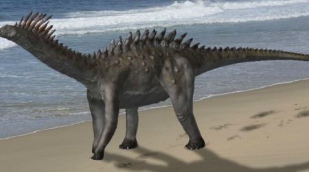 A speculative restoration of the armored sauropod Agustinia