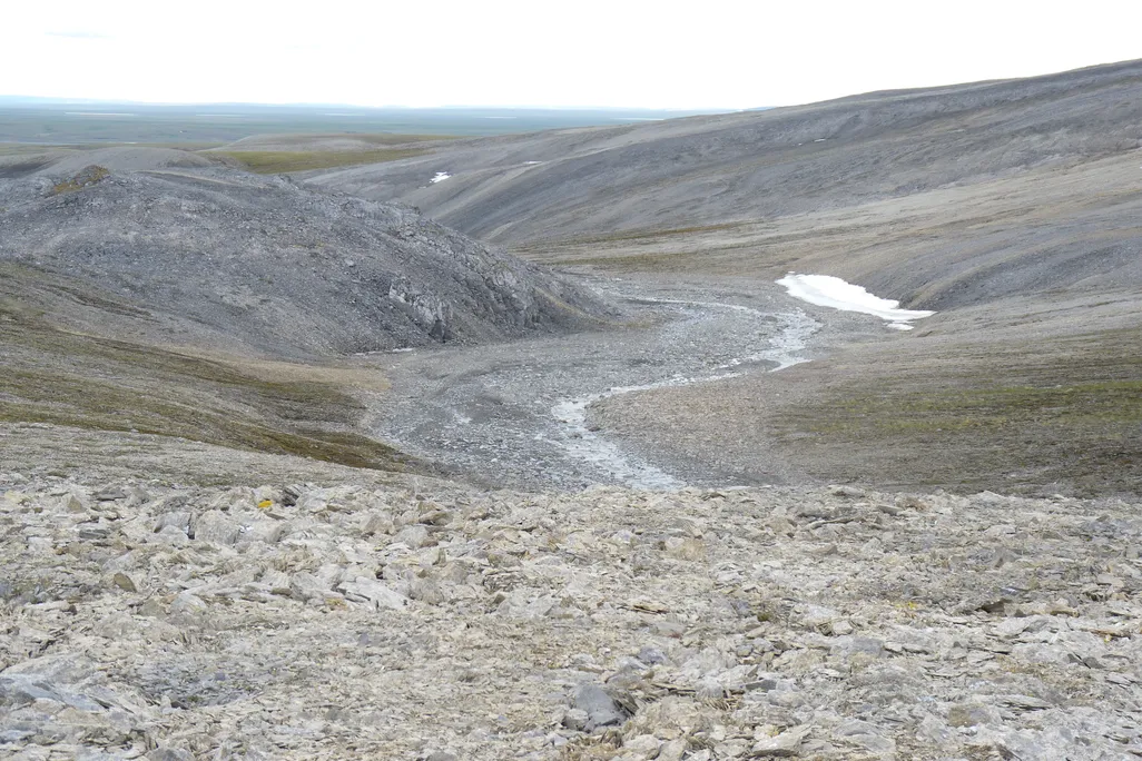 Limestone outcrop on the Taymyr Peninsula in North Siberia
