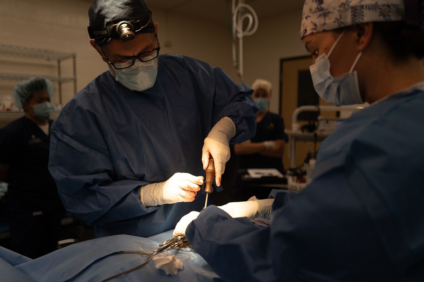 Inside the Zoo: A Rare and Life-Preserving Cheetah Surgery ...