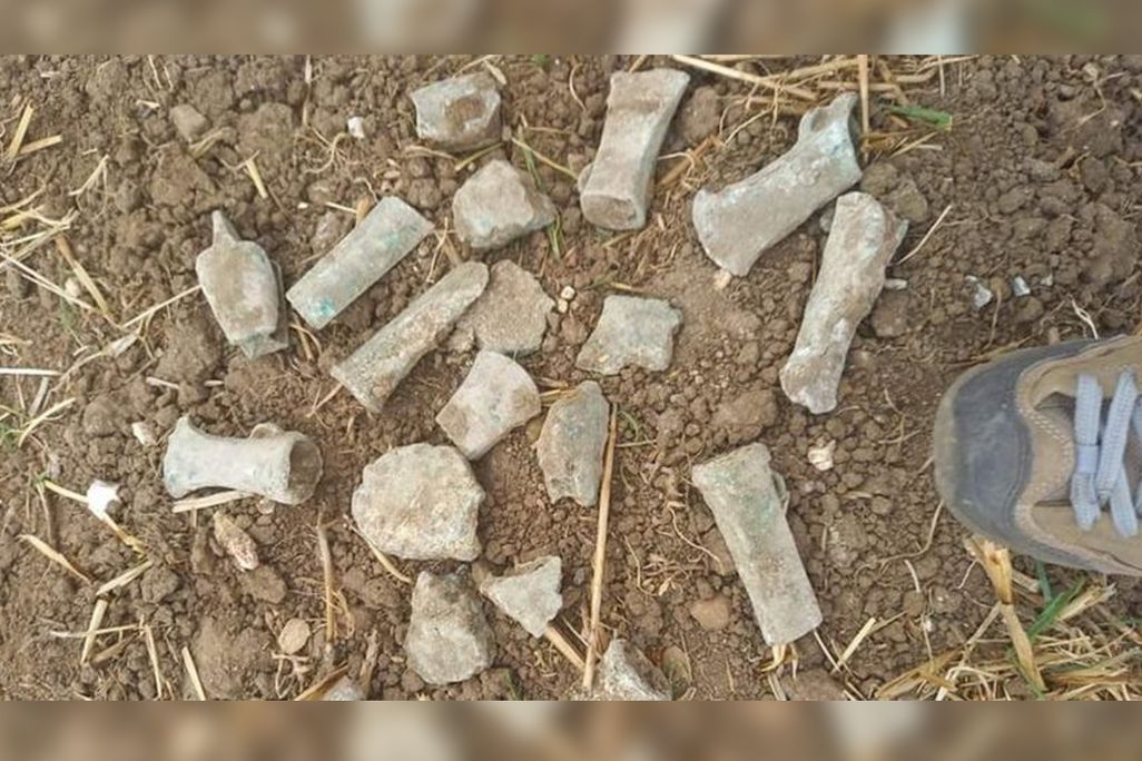 Bronze Age ax heads discovered by Milly Hardwick