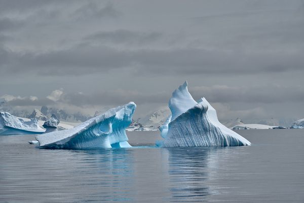 Antarctica icebergs thumbnail