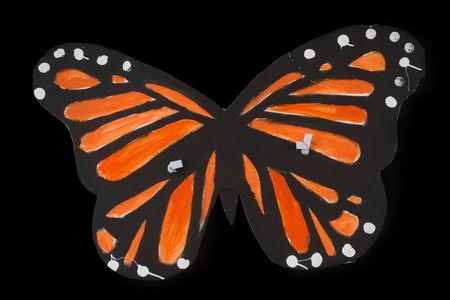 DACA monarch butterfly sign