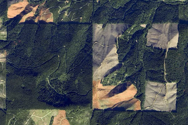 Checker Boarding thumbnail