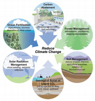 Here Are the Five Best Ways to Fight Climate Change, Ranked by Scientists