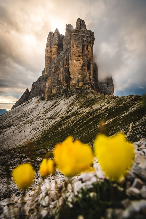 Last flowers in Dolomites thumbnail