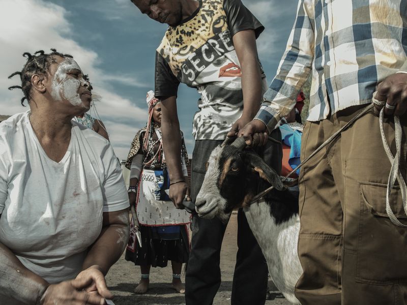 A sacrifice being made during a sangoma initiation | Smithsonian Photo ...