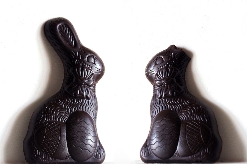 Chocolate Easter Bunny