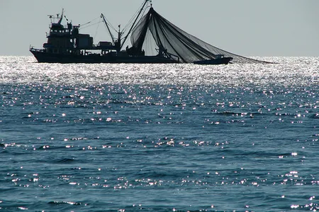 A fishing trawler off the coast of Turkey.