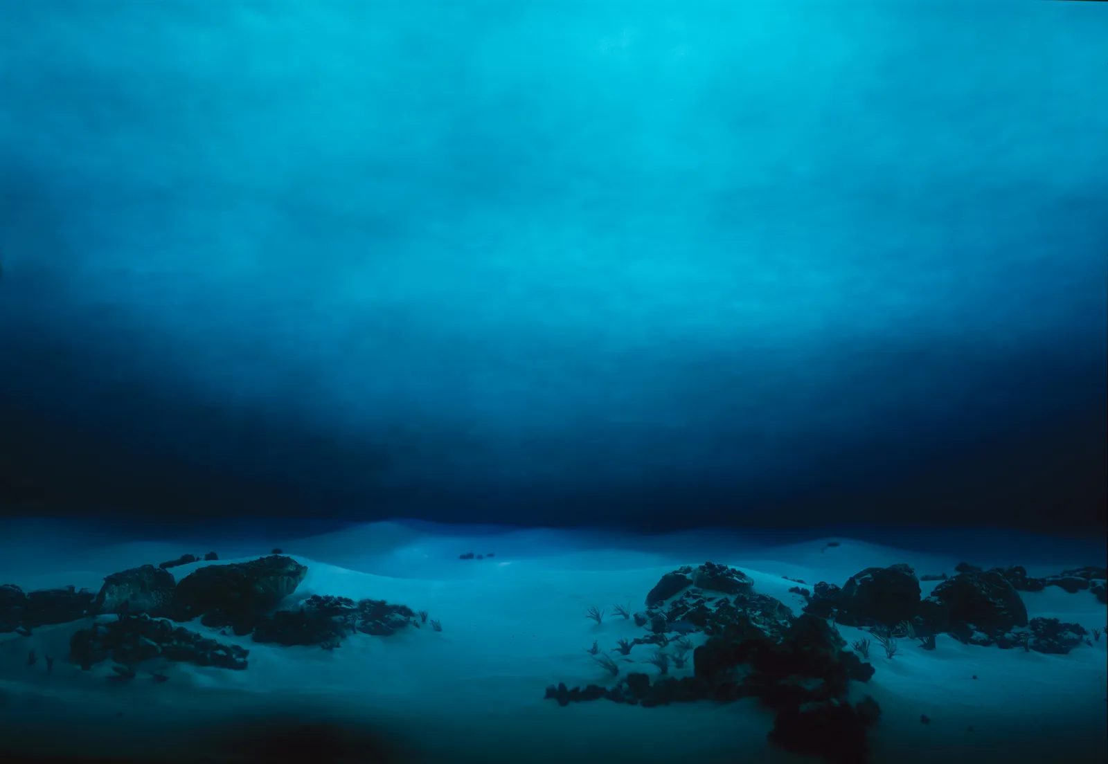 underwater ocean pictures