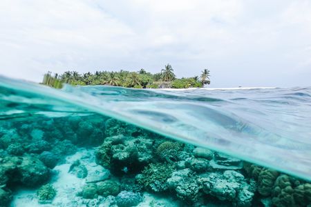 A view of an island with a wave revealing a coral reef underwater. Photo courtesy of Ishan on Unsplash.