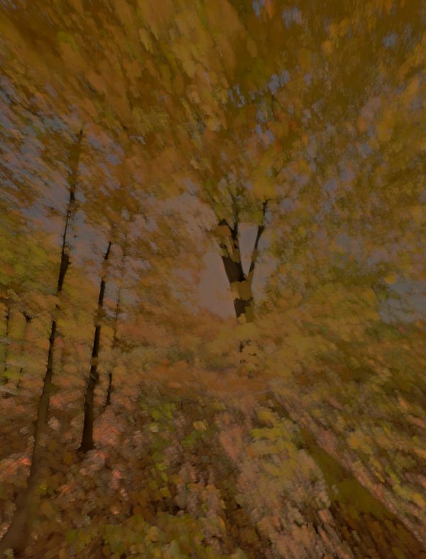 Late Autumn Foliage at Sunset - Impressionistic Photography by ICM thumbnail