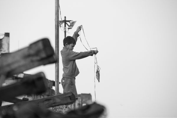 Straw Rope Fishing thumbnail