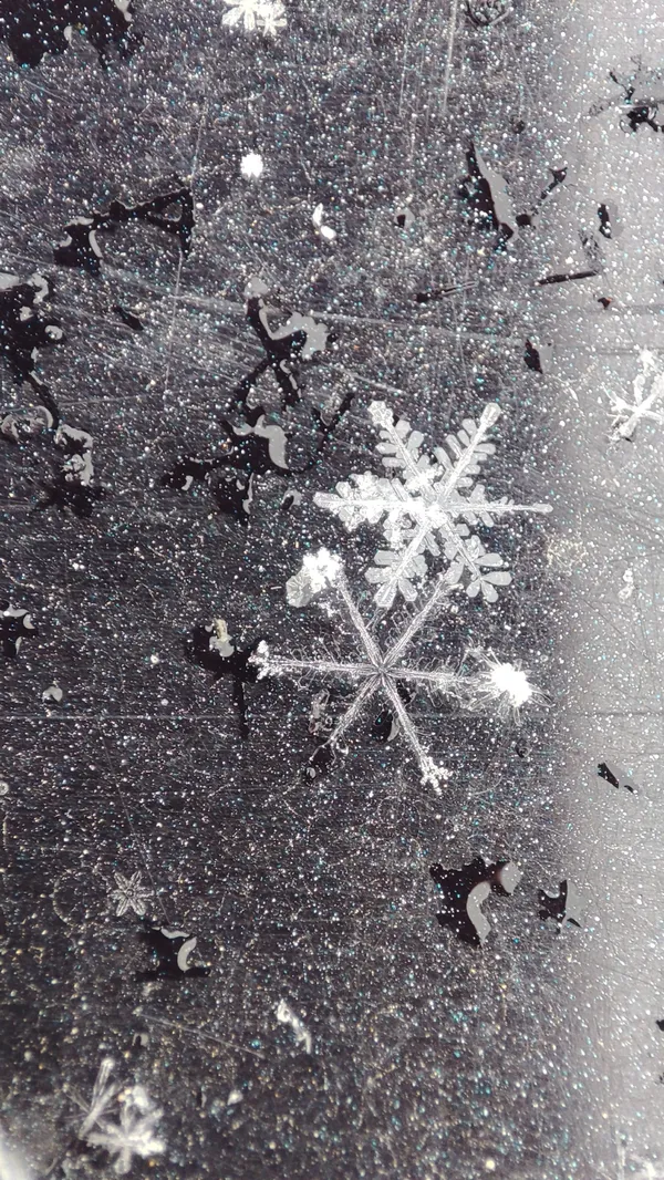 Snow flowers thumbnail