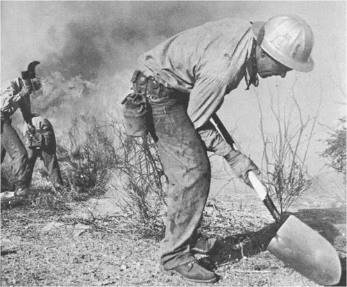 Prisoners on the fire line, circa 1965