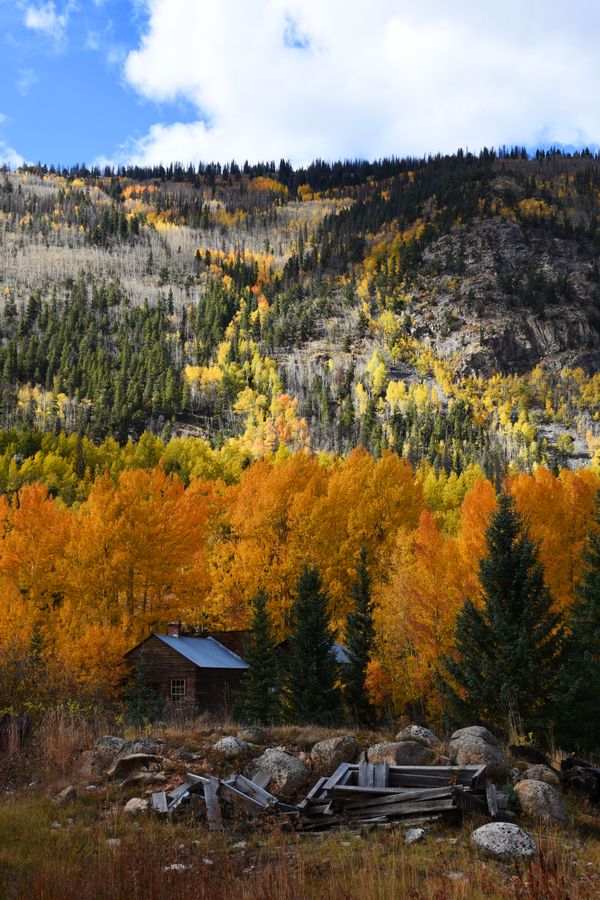 Cabin in Colorado. thumbnail