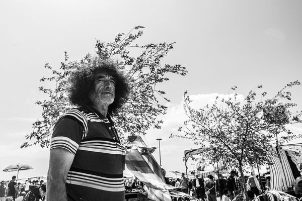 Wild Roots thumbnail