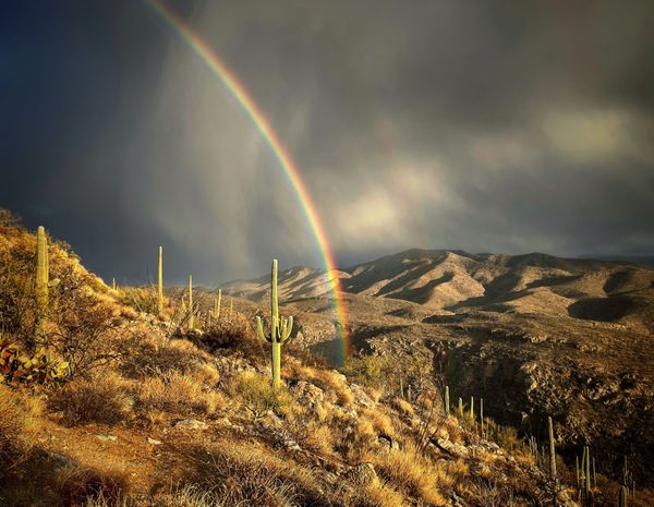 Sonoran Desert rainbow thumbnail