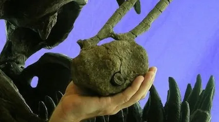 Close inspection showed that a T. rex tooth was lodged in a hadrosaur’s vertebrae, the result of an ancient attack gone awry.